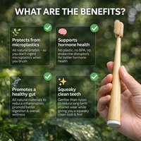 Modiva™ Boar Bristle & Bamboo Toothbrush (4 Pack)